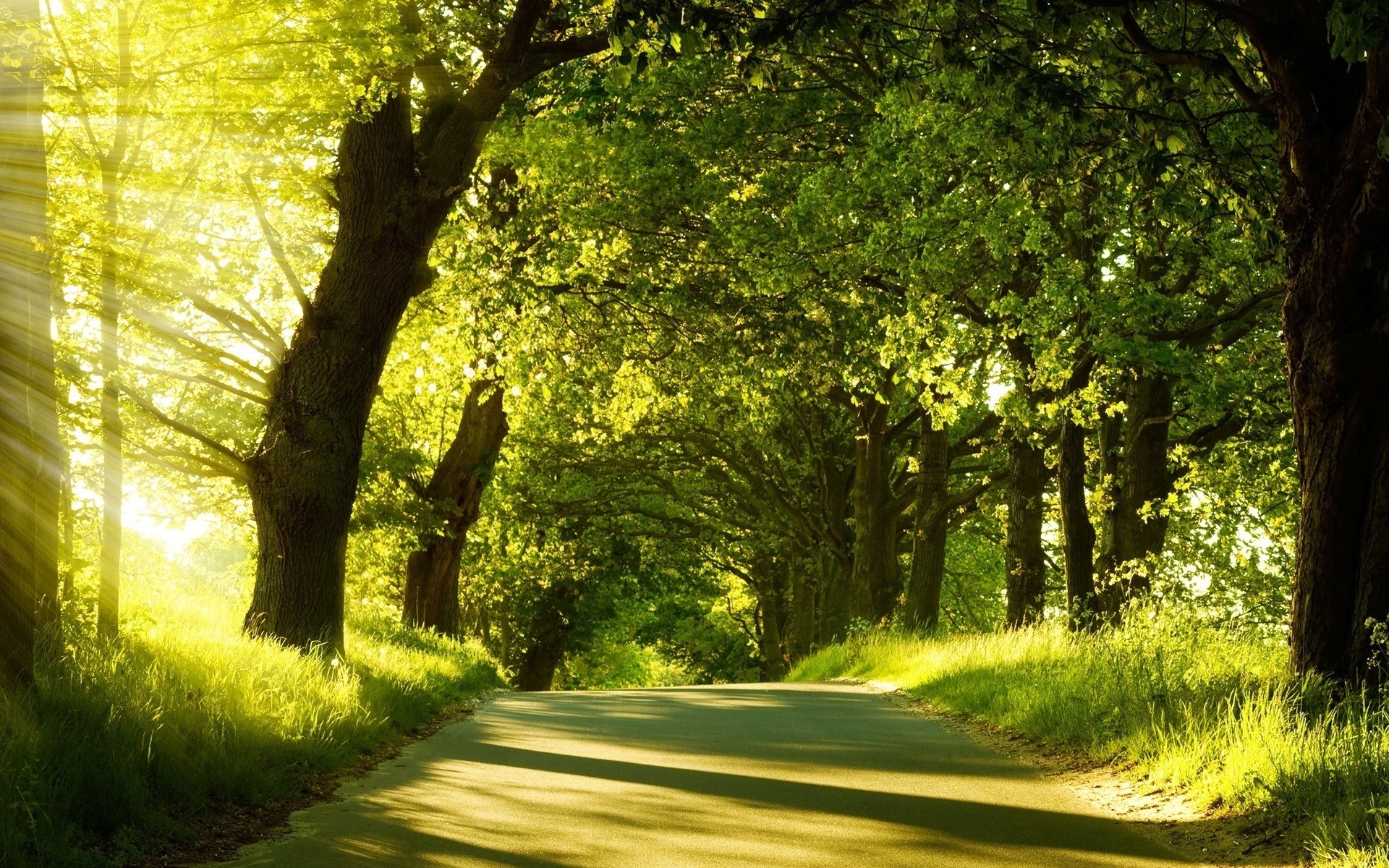 Serene nature landscape